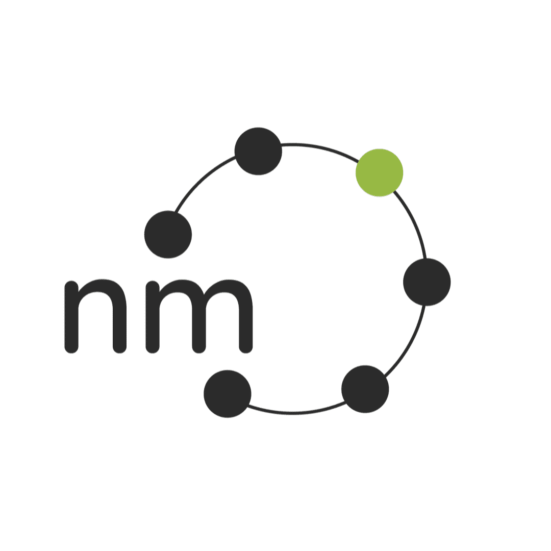 netmechanic logo