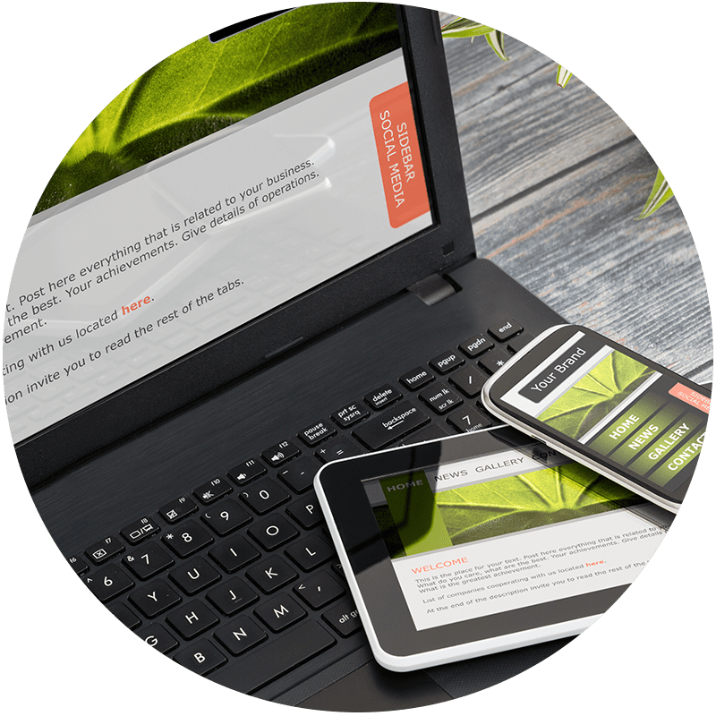 wordpress website design