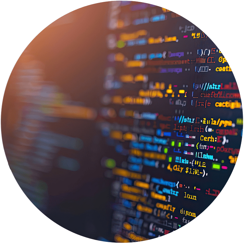 Custom Development